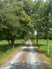 5 Bed Farmhouse in North Cork, Co. Cork