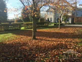 4 Bed Detached Home in Mins From Adare, Co. Limerick