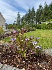 4 Bed House in Mountain View, Co. Clare